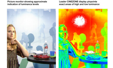 PICTURE PERFECT: LEADER CINEZONE