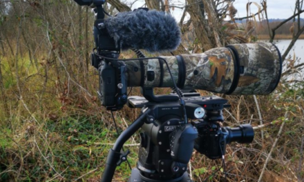The importance of an accurate Fluid Head for Wildlife shooting: Maxima 30 in WWF Oasis by Cartoni