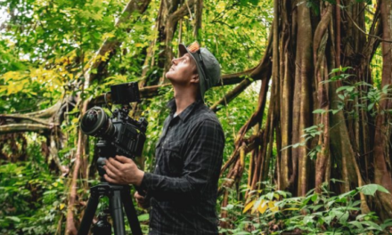 Recording in extreme conditions, Alex D’Emilia and the Focus 12 Stabilo Carbon System fluid head tripod for Fragments of Extinction